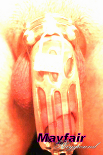 Domination Escorts,  London Escort