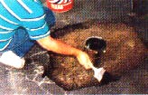 POUR ABLE CRACK FILLER- a ready to use, chemically modified rubberized asphalt emulsion seals cracks in black-top surfaces